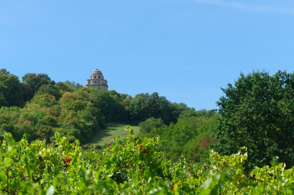 Weinberge, Weinberge, Weinberge