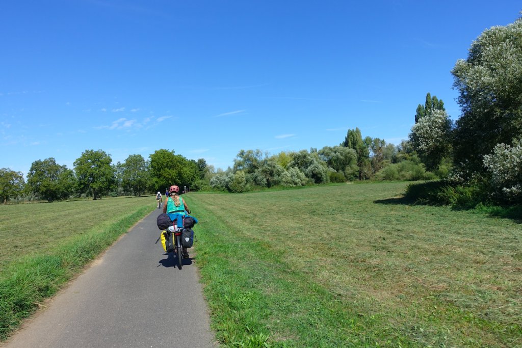 Und nochmals ein Blick auf den perfekten Rheinradweg (also zumindest hier)