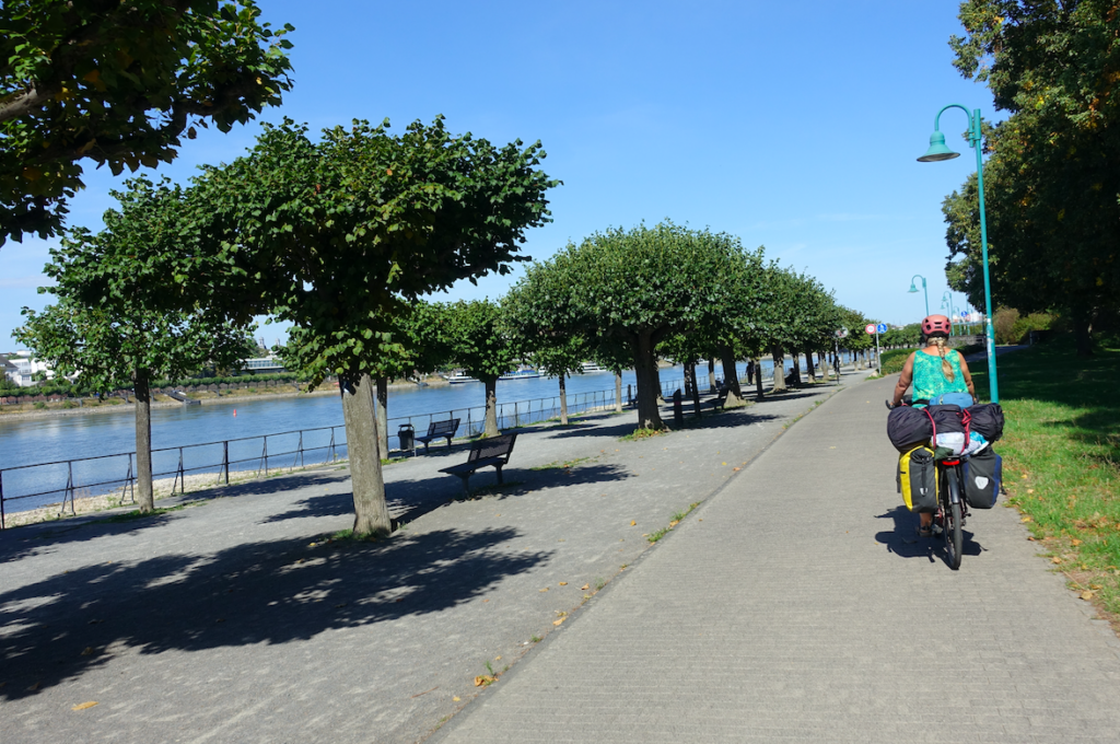 Zwischen Bonn und Köln ist der Rheinradweg oftmals sehr großzügig und schön