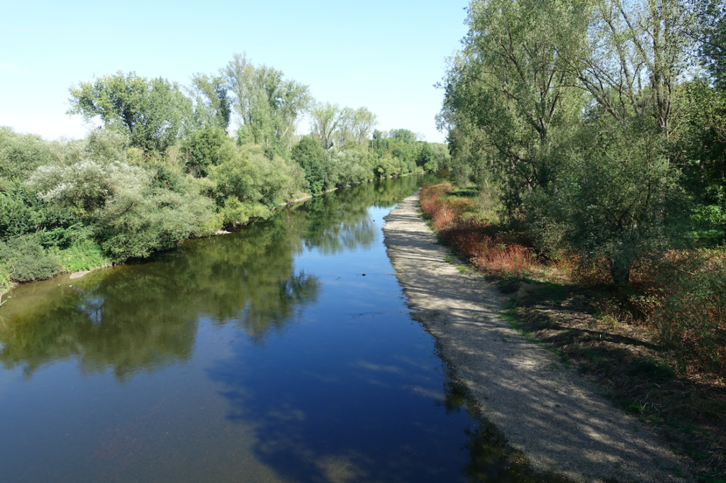 Die Sieg kurz vor der Mündung in den Rhein